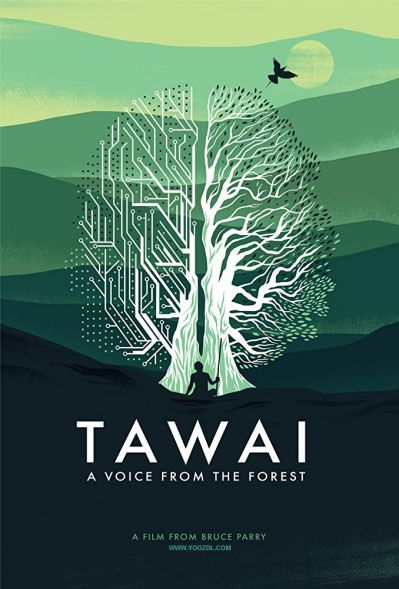 دانلود فیلم Tawai A Voice From The Forest 2017