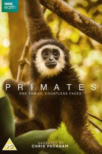 دانلود مستند سریالی Primates